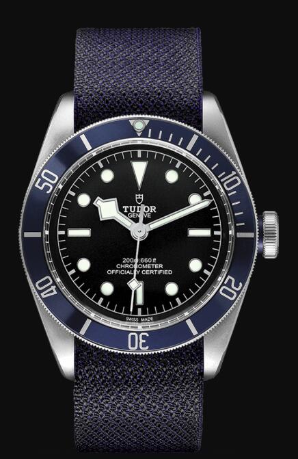 Tudor BLACK BAY M79230B-0006 Replica Watch